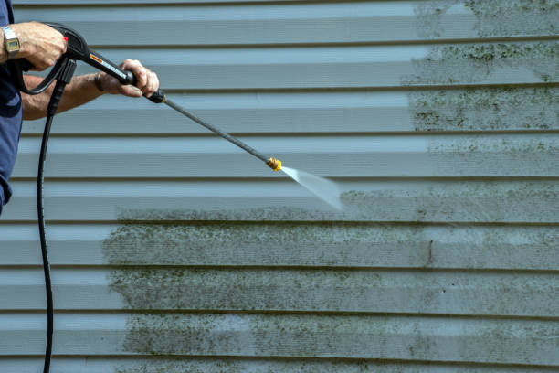 Professional Pressure Washing Services in Williamston, NC